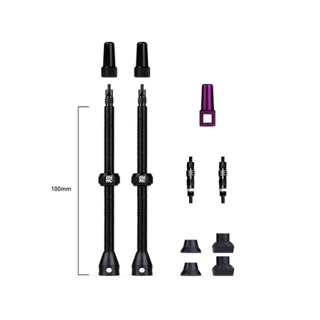 Dynamic Barkeeper Tubeless Valve Kit