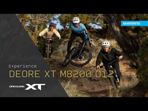 Shimano XT HG 12s Cassettes (CS-M8200-12) video - bicyquel _