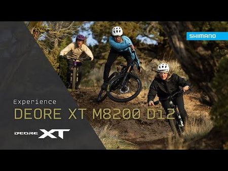 Shimano XT HG 12s Cassettes (CS-M8200-12) video - bicyquel _